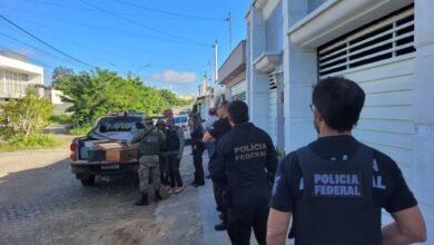 Polícia Federal deflagra operação em combate ao tráfico de animais através dos Correios Foto: Divulgação / Polícia Federal
